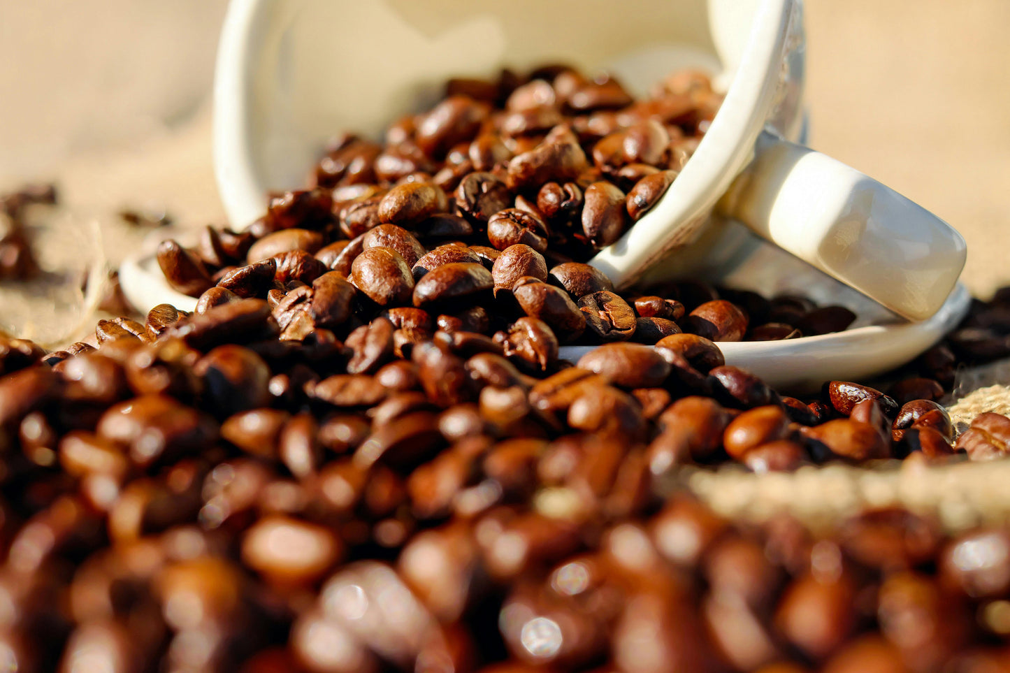 Medium Light Roast Flavor Blueberry
